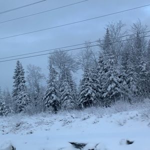 Meet your Posher, Kristin